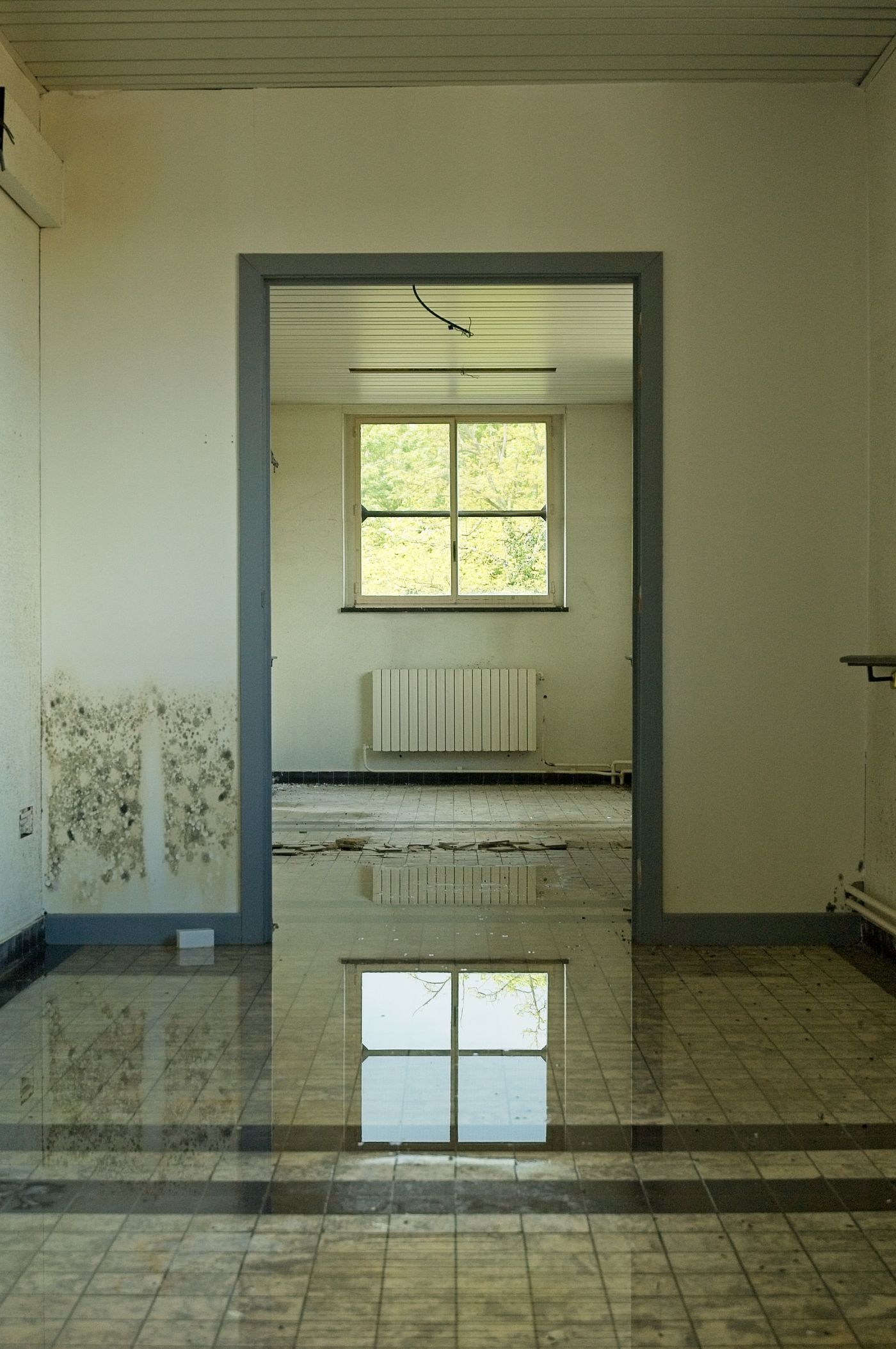 Standing water on the floor of an abandoned room.